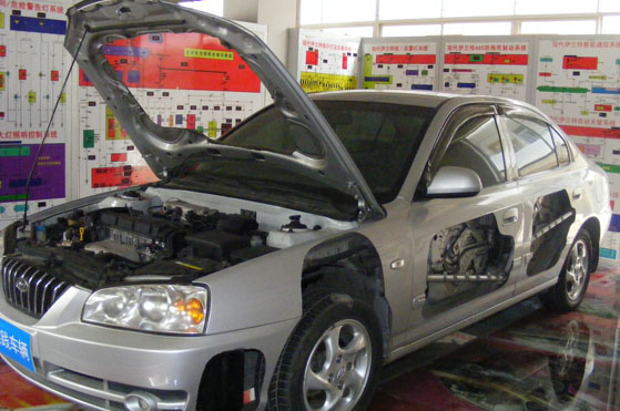 現(xiàn)代解剖車(chē)間
