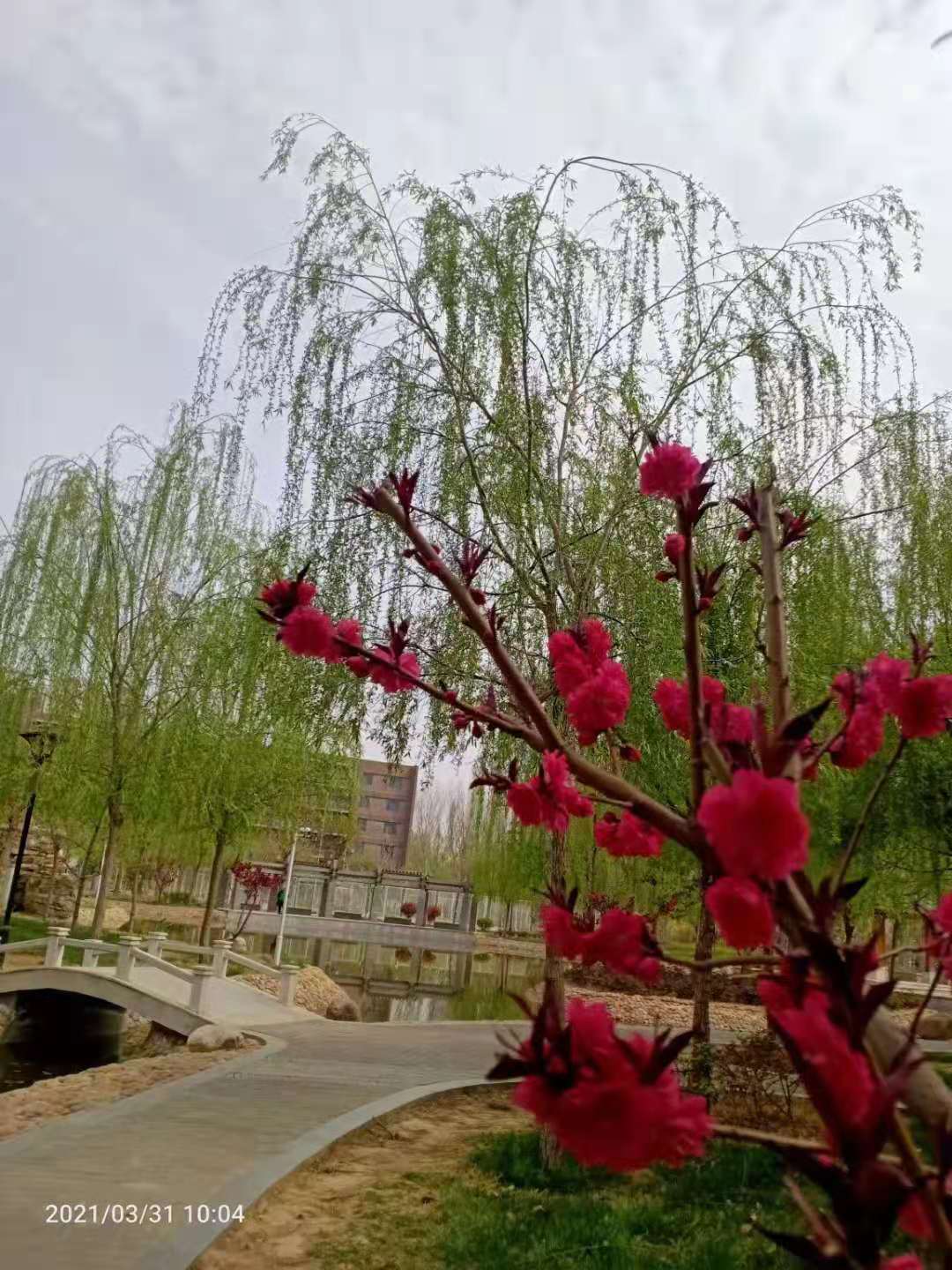 邯鄲北方職業(yè)技術(shù)教育學(xué)校四月校園