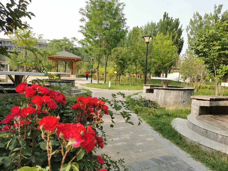 邯鄲北方職業(yè)技術(shù)教育學(xué)校五月校園環(huán)境