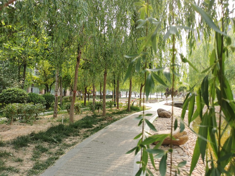 邯鄲北方職業(yè)技術(shù)教育學(xué)校五月校園環(huán)境