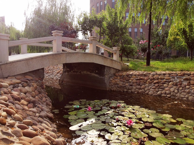邯鄲北方職業(yè)技術(shù)教育學(xué)校五月校園環(huán)境