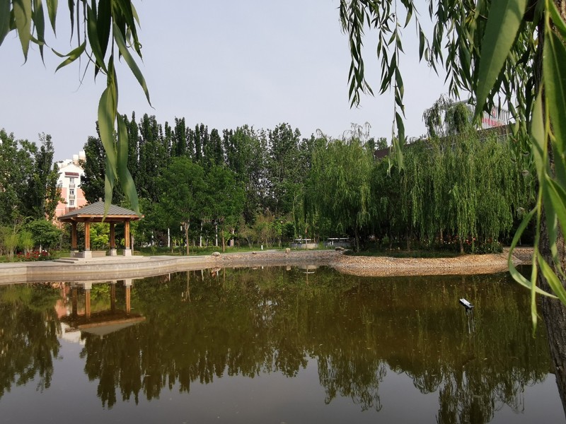 邯鄲北方職業(yè)技術(shù)教育學(xué)校五月校園環(huán)境
