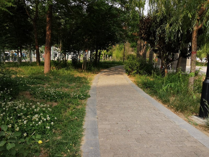 邯鄲北方職業(yè)技術(shù)教育學(xué)校五月校園環(huán)境