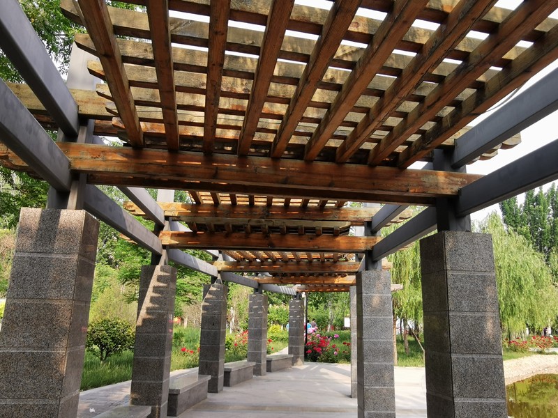 邯鄲北方職業(yè)技術(shù)教育學(xué)校五月校園環(huán)境