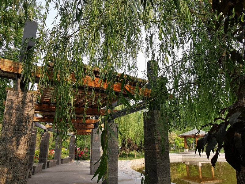 邯鄲北方職業(yè)技術(shù)教育學(xué)校五月校園環(huán)境