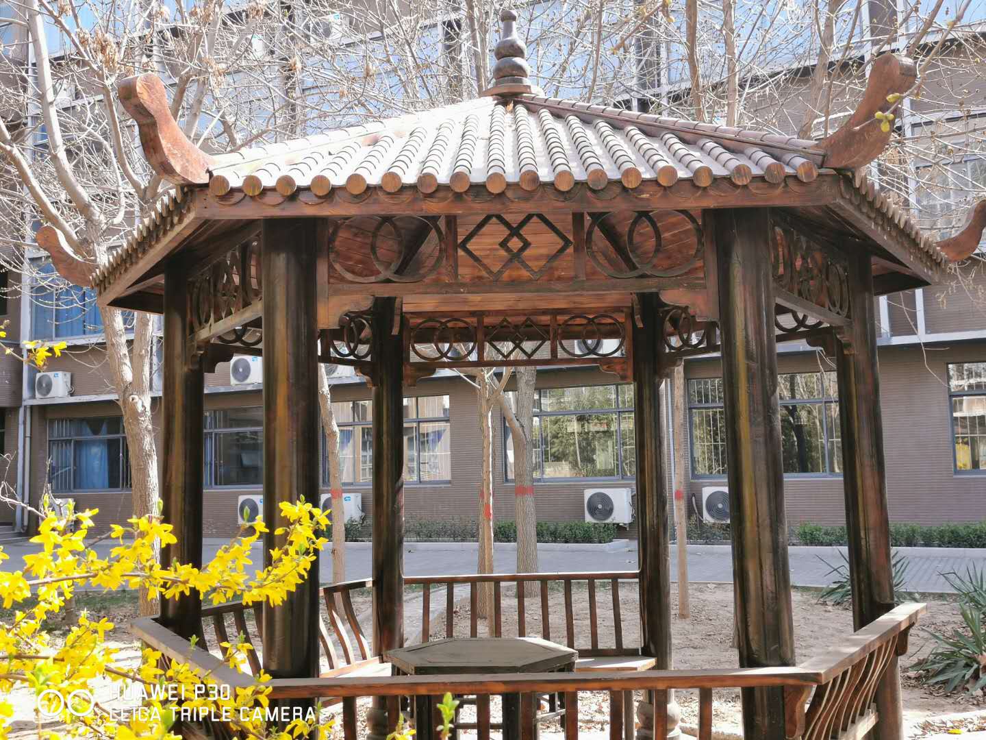 邯鄲北方學(xué)校校園環(huán)境